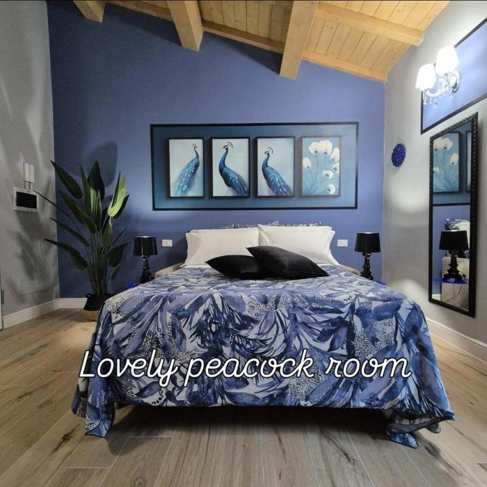 Dream Apartments alloggio turistico