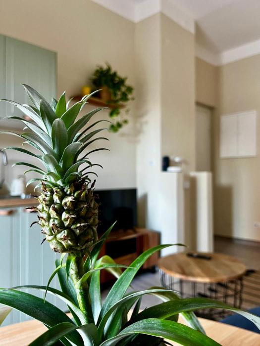 Tropical Cocoon in Monza