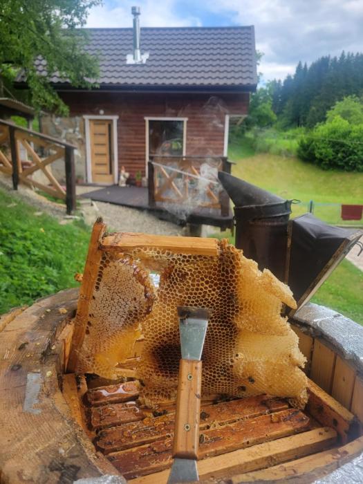 Забрус насолоди