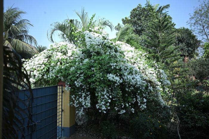 Muktadhara Eco Homestay