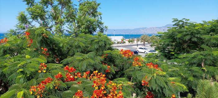 Latchi coast villa-resort