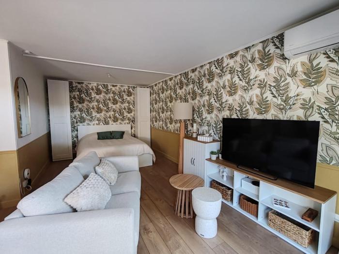 Studio avec coin nuit climatisé au pied de la Marina de Fréjus