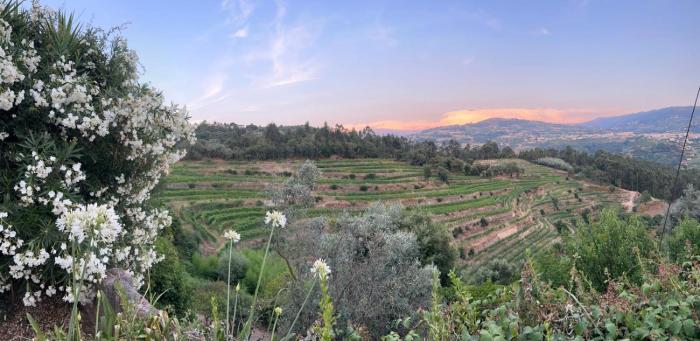 Stay on a Vineyard in Douro Valley Quinta de Alvites