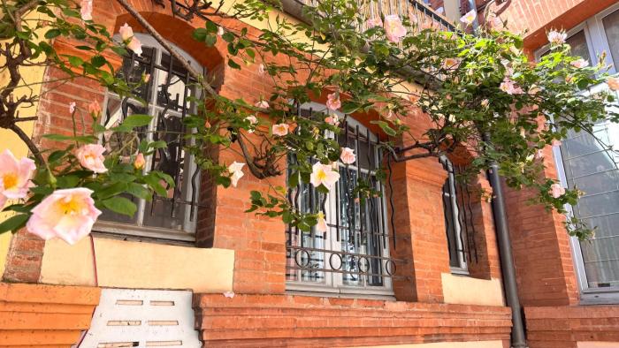 Large appartement downtown with parking