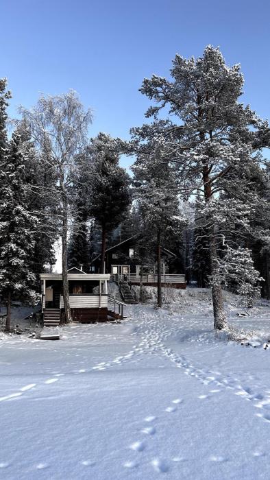Cozy Arctic Lakeside Cottage with private sauna