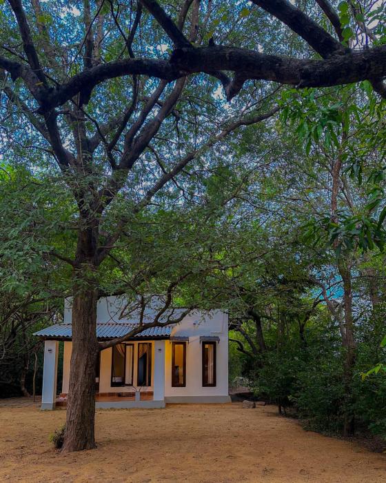 In the Wild by RoamCeylon