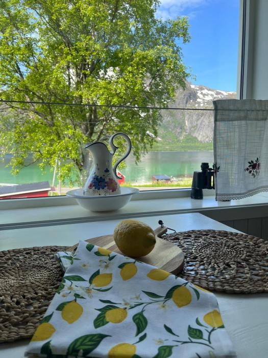 Cozy house with amazing view Lofoten and Vesterålen