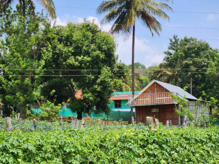 Tusker Valley Mudumalai by Privacy Homes