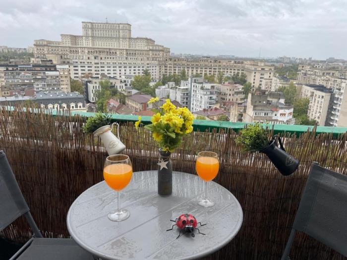 2 bdrm apartment witn AMAZING VIEW