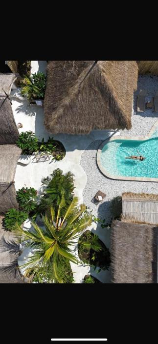 Sayamaya - Soft Opening