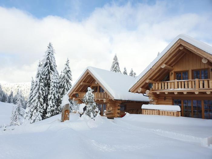 Almzauber Chalets - Haus Enzian inkl Infrarotliegen