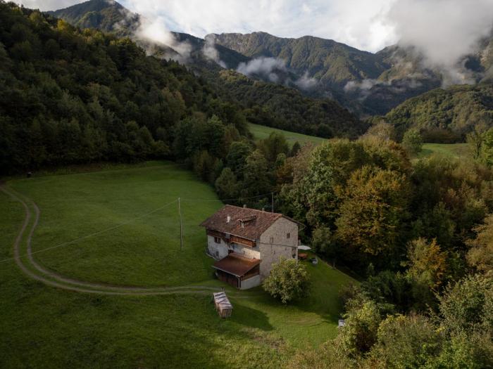 Wooden Stories - Nature, Netflix & Wi-Fi