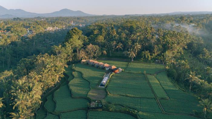 Eco Oasis Wooden Villa Ubud