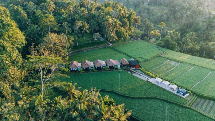 Eco Oasis Wooden Villa Ubud