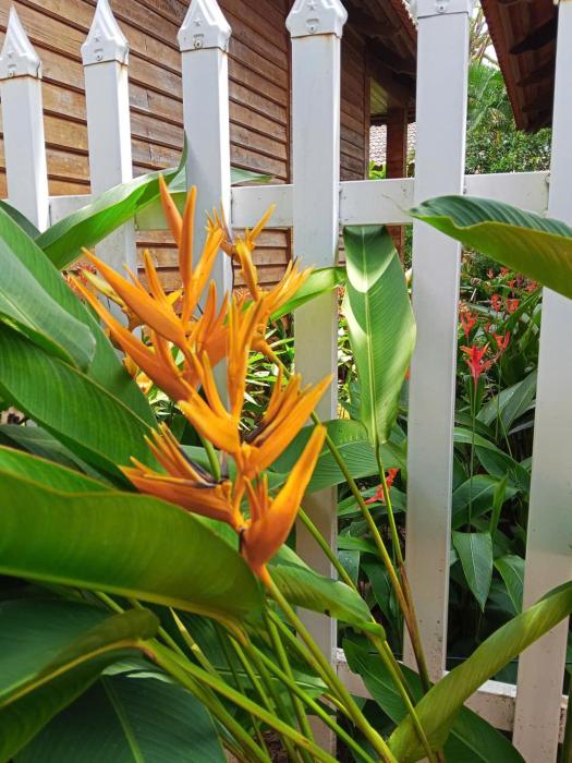 Tim Hotel - Near The Sea