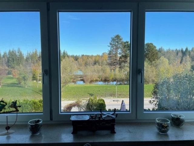 Sky bed and wood stove appartment