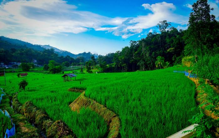 Village Breeze Cabana