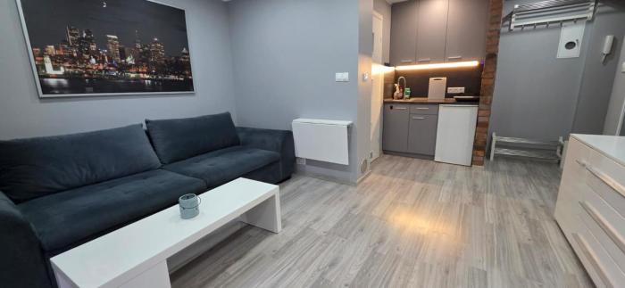 PDS Apartament Katowice