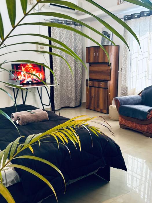 Oak & olive homestay