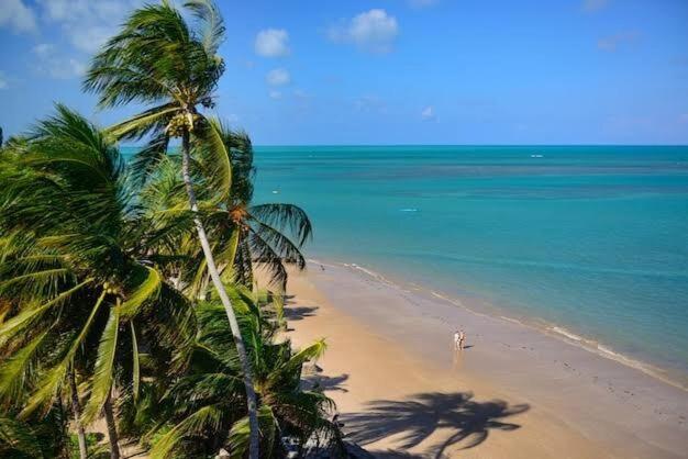 Caribessa é Aqui !!!