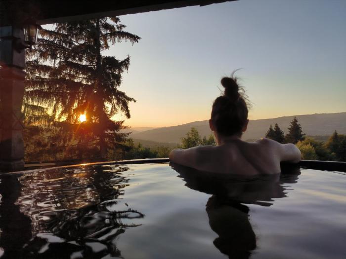 Vila Alpina Maramureș