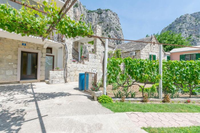 Apartments Petea Omis