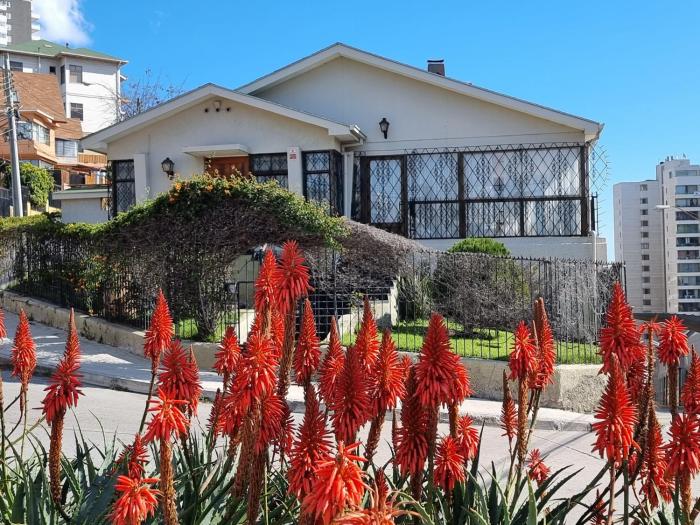 El chalet sel gato, Loft en central barrio de Viña del Mar