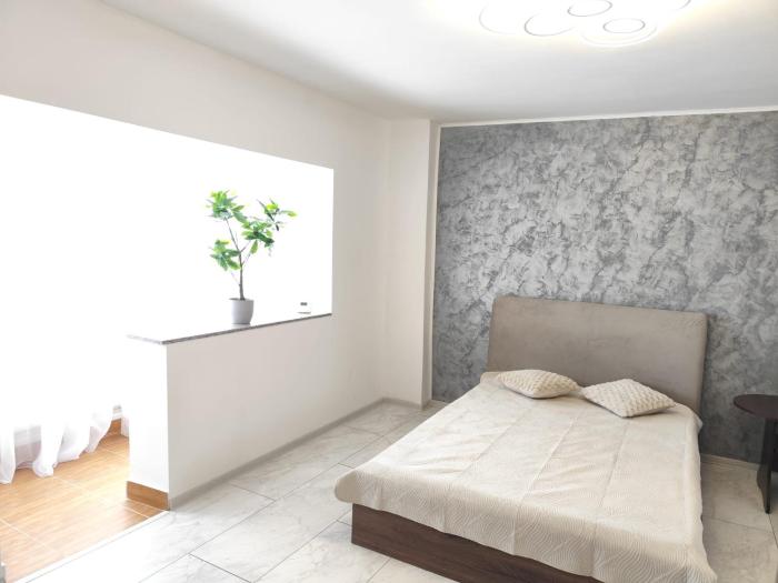 Studio Central Brancusi