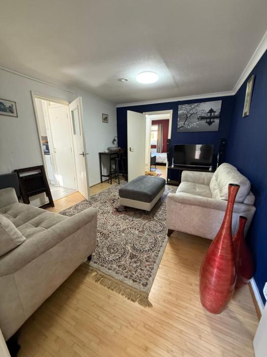 Modern Wembley Apartment Walk to Stadium & Arena