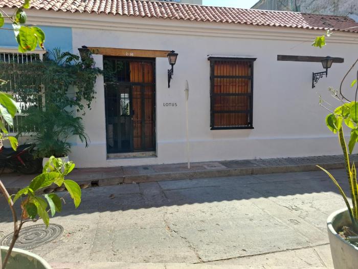 Lotus Centro HIstorico