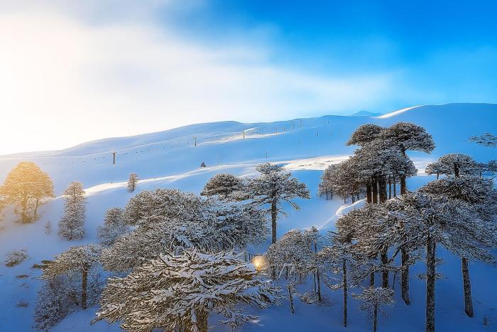 Llaima lodge Conguillio