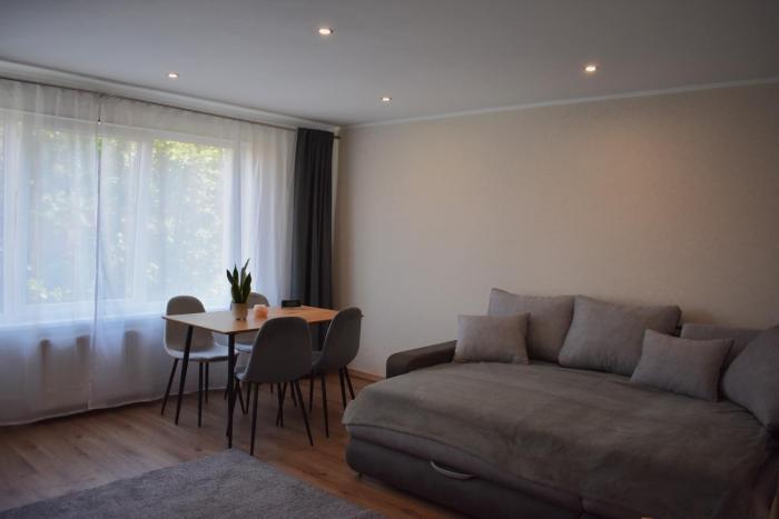 Apartment near the airport