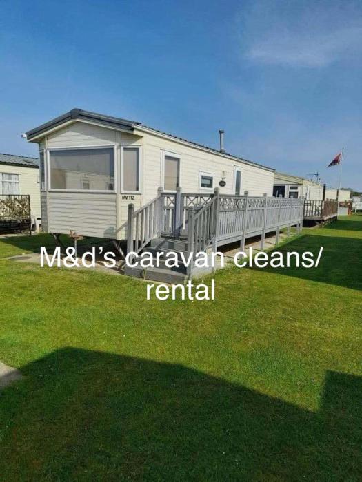 Golden palms meadow view