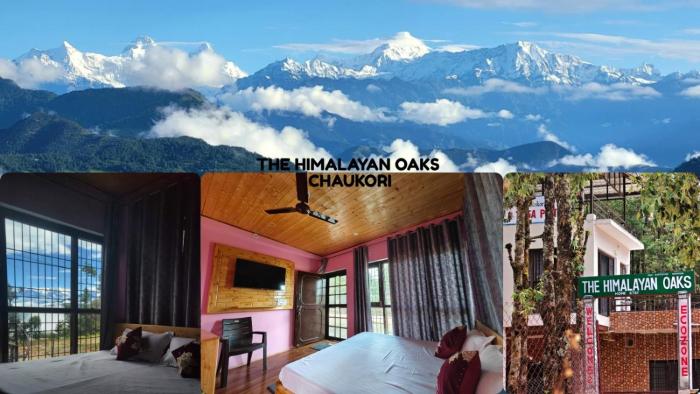 The Himalayan Oaks