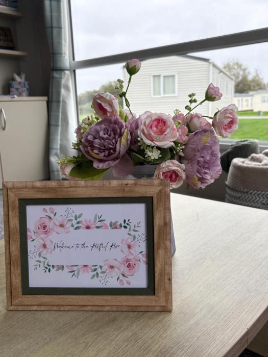 The Restful Rose at Chichester Lakeside