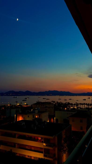 Appartement Vue Mer Pointe Croisette