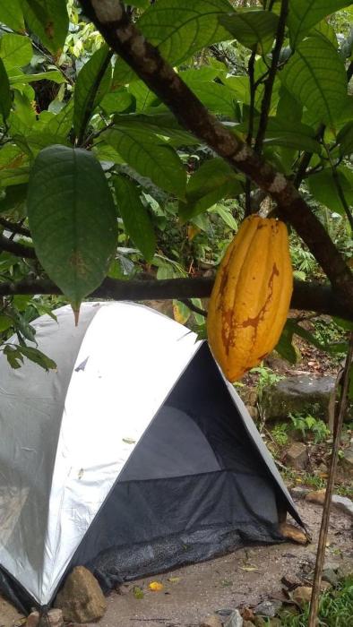 Camping - Recanto do Leâo