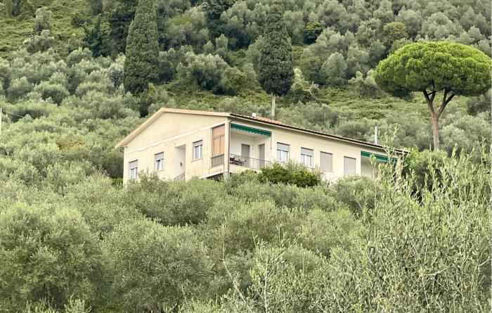 Gorgeous Home In Capezzano Pianore With Wifi