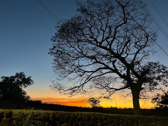 Rancho Los Gavilanes