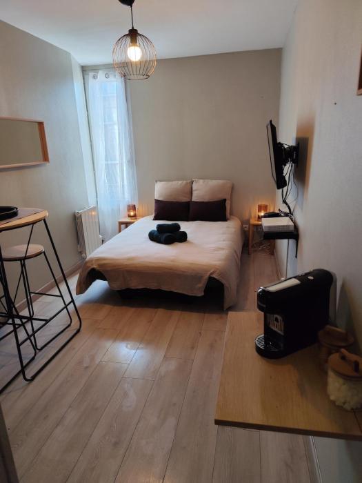 La Bulle de Tours, hyper center, train station in front!