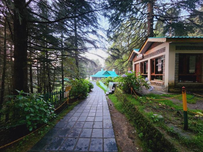 Forest Vibes Kalatop-Rooms And Restaurant