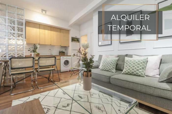 Gran Vía Fomento Apartment AH