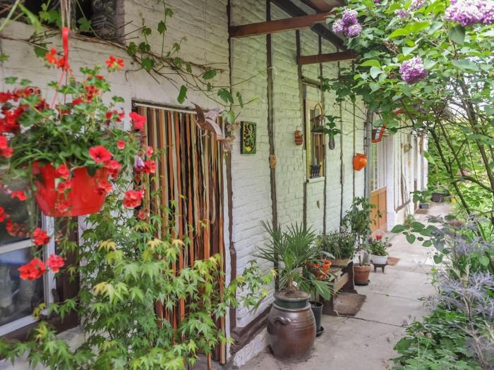 Gîte spacieux et écologique avec jardin et animaux acceptés à Steenvoorde - FR-1-510-236