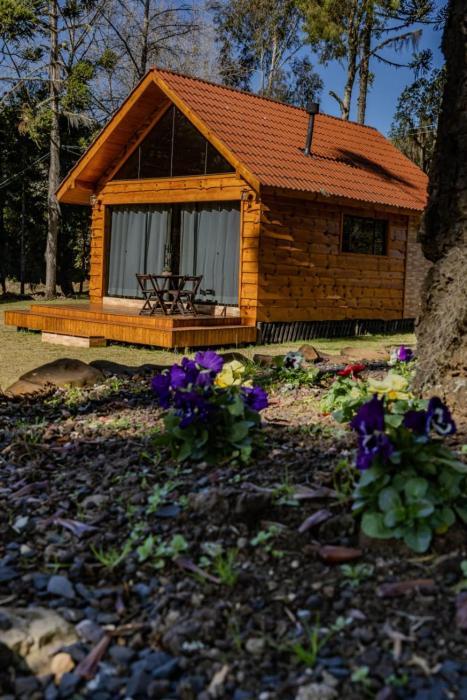 Cabana Pequeno Bosque som dás Águas