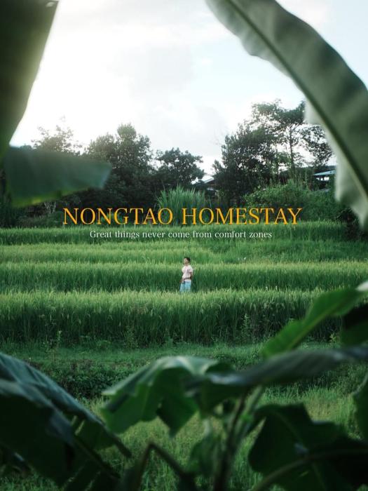 Nongtao Homestay