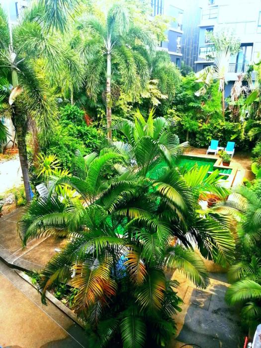 Relife apartments Большая квартира с панорамным видом на горы на Най Харне