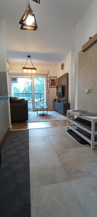 Picasso Divcibare Kota 992