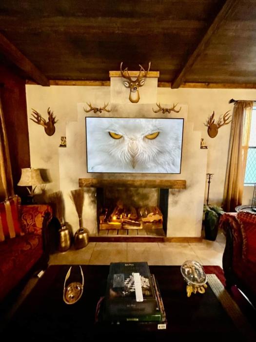 Magic of Wizards Welcome of Champions Gate