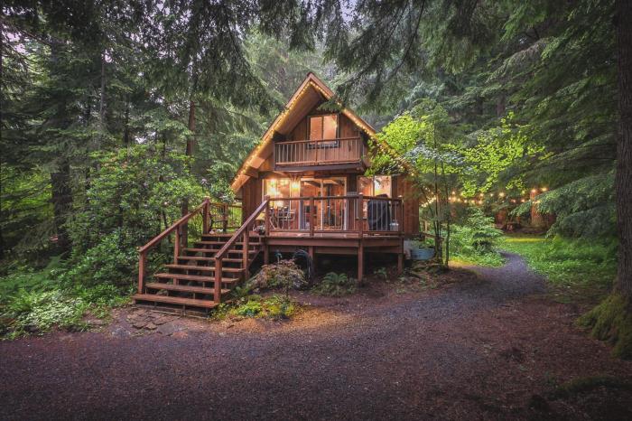 Nisqually Nest at Mount Rainier