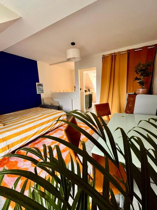 Charming Studio In Le Mans Chasse Royale